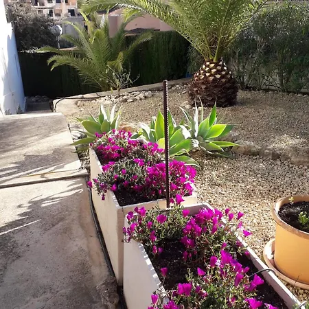 Casita La Joya Feriehus *